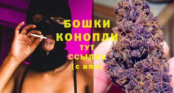 тгк Богданович