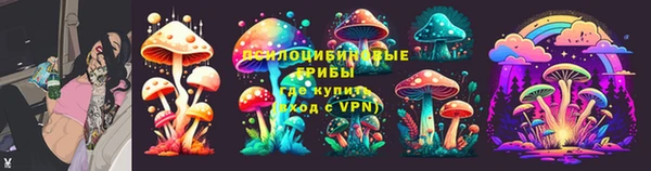 тгк Богородицк
