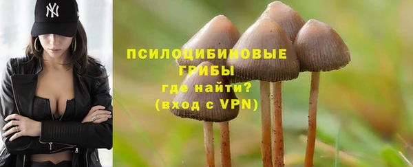 тгк Богородицк