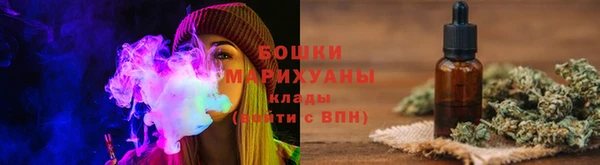 тгк Богданович