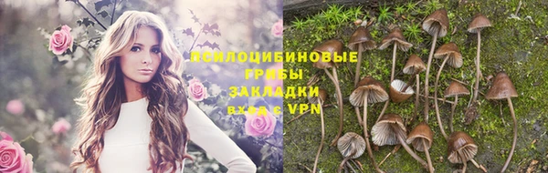 тгк Богданович