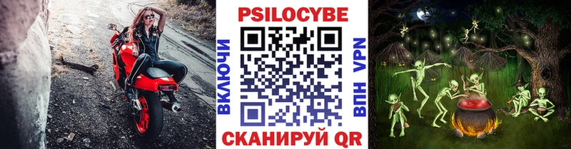 гидра   закладки  Белоусово  Псилоцибиновые грибы Psilocybe 